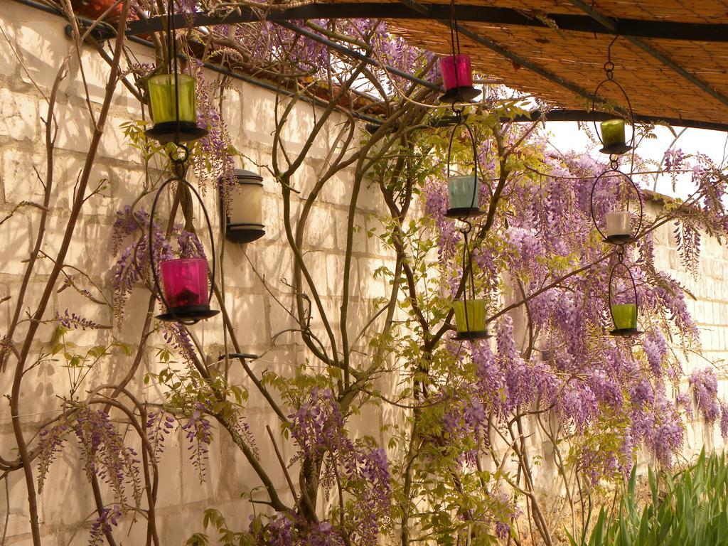 香槟沙隆 Entre Cour Et Jardin酒店 外观 照片